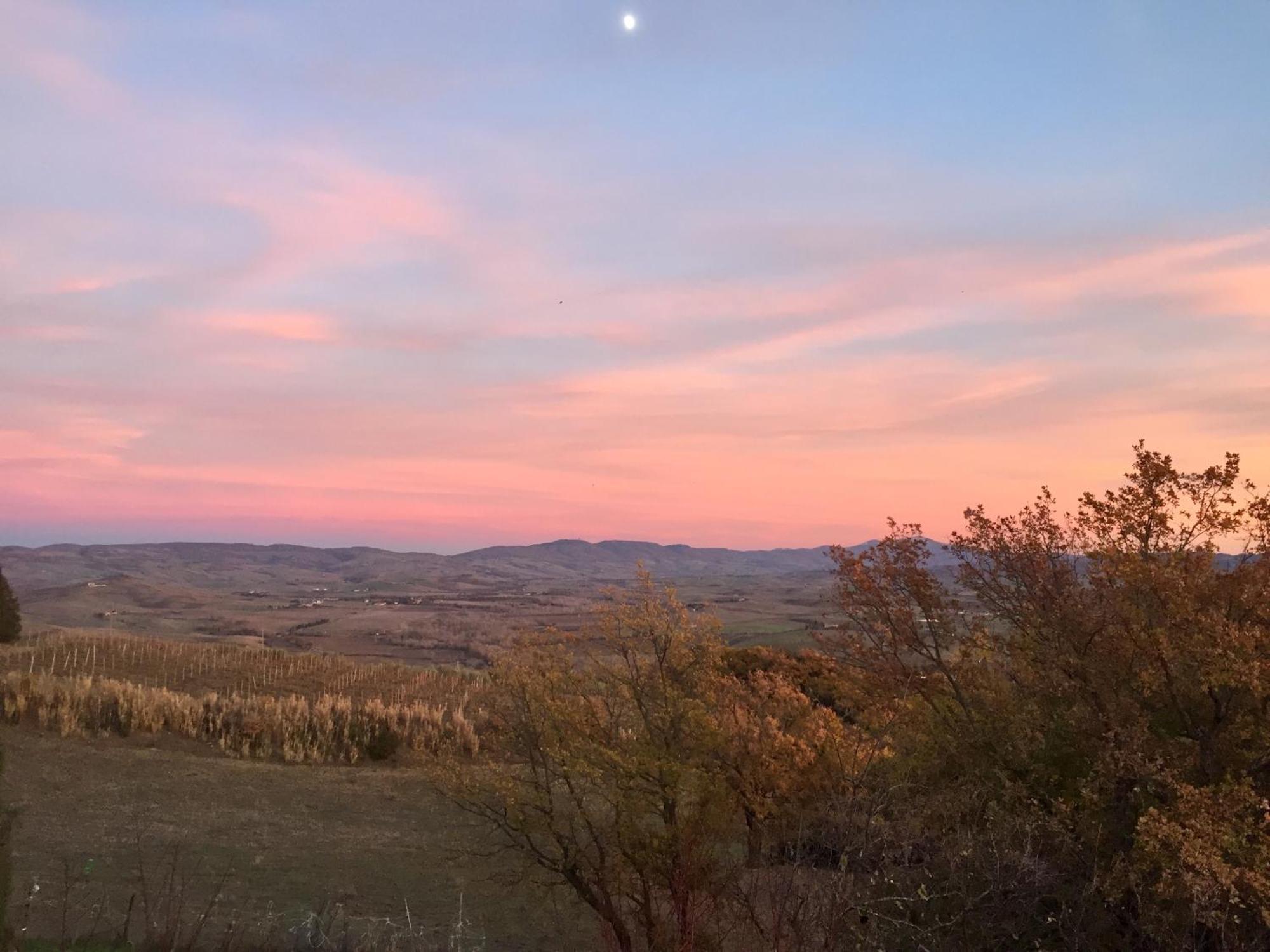 Agriturismo Le Querciole In Val D'Orcia 바뇨비뇨니 외부 사진