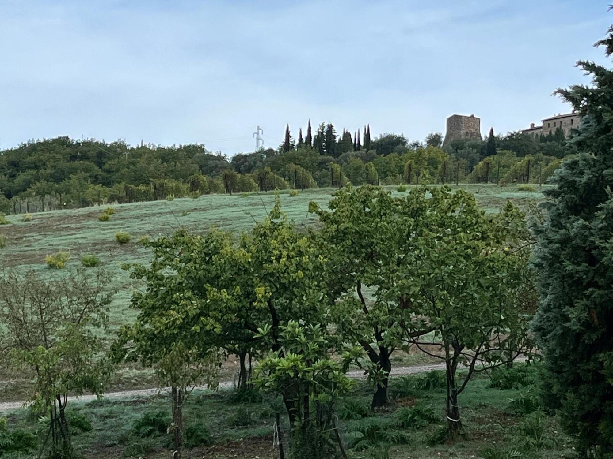 Agriturismo Le Querciole In Val D'Orcia 바뇨비뇨니 외부 사진