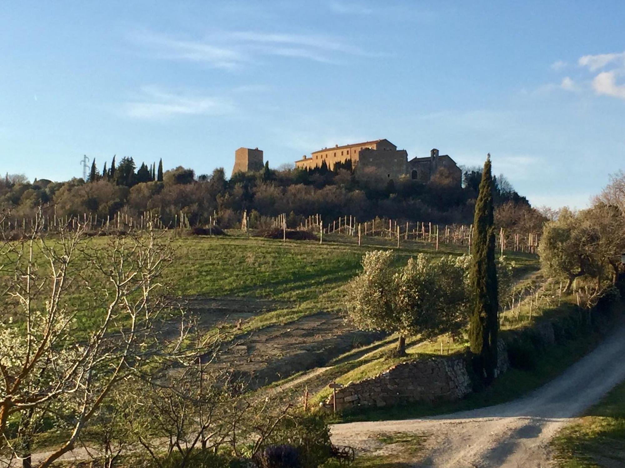 Agriturismo Le Querciole In Val D'Orcia 바뇨비뇨니 외부 사진