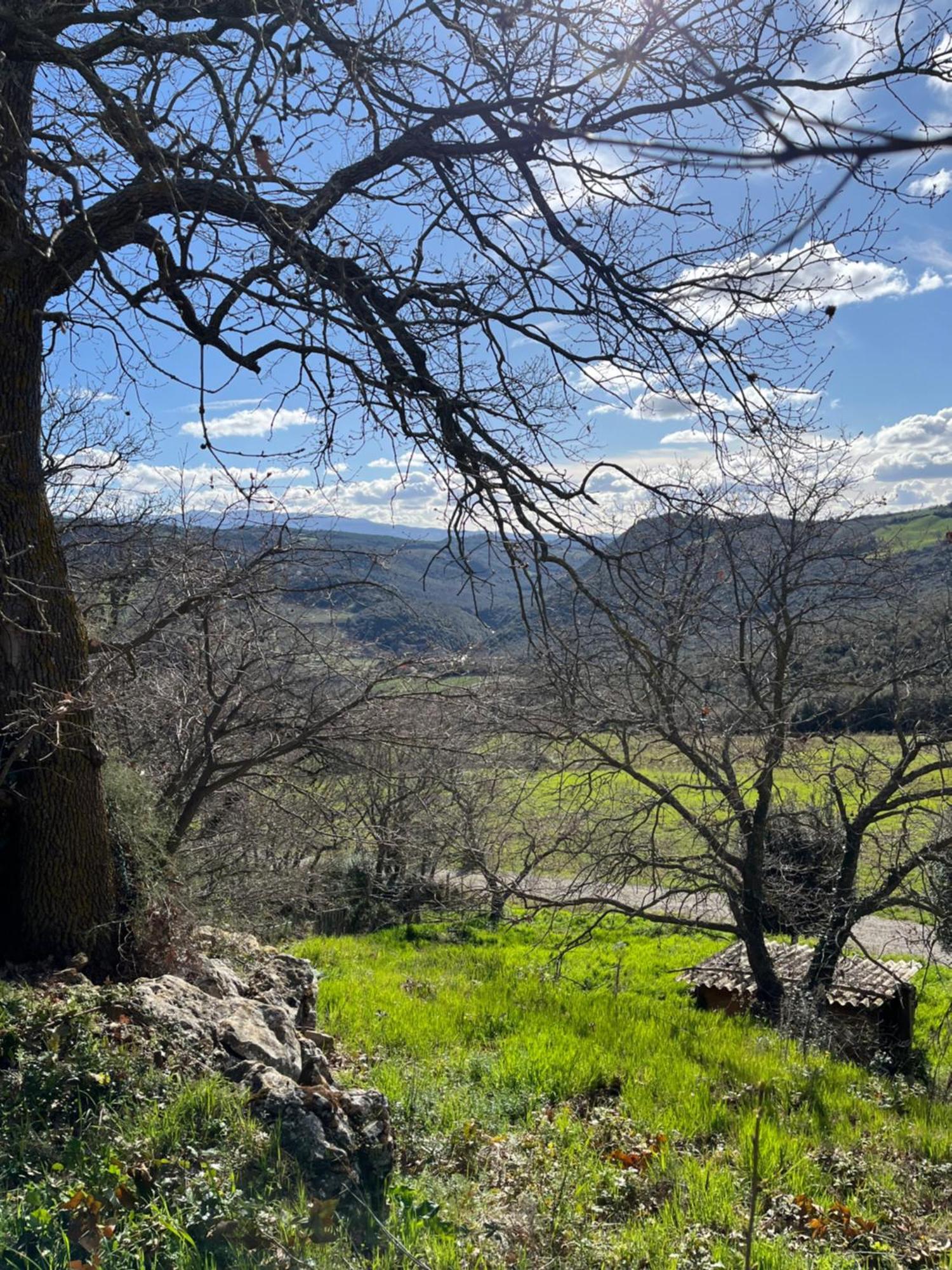 Agriturismo Le Querciole In Val D'Orcia 바뇨비뇨니 외부 사진